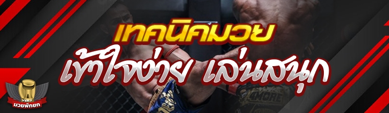 เทคนิคมวย เข้าใจง่าย เล่นสนุก 