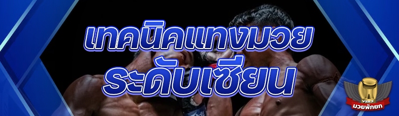 เทคนิคแทงมวย ระดับเซียน