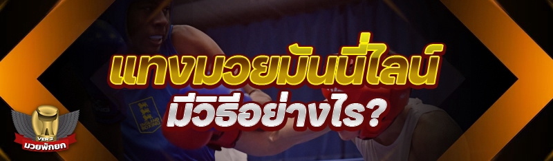 แทงมวยมันนี่ไลน์ มีวิธีอย่างไร?