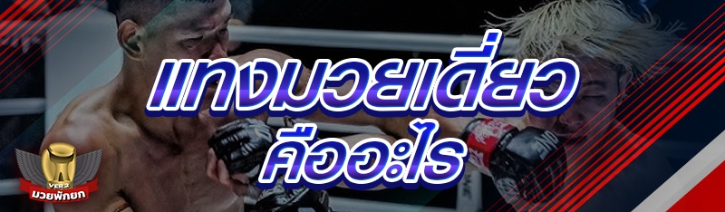 แทงมวยเดี่ยว คืออะไร